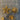 670dca8034be6e479edf2839_img-1867_1775001588909.jpeg