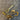 670dca8034be6e479edf2839_img-1869_1774999237498.jpeg