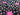 670dca8034be6e479edf2839_img-2358_1777823491287.jpeg