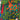 670dca8034be6e479edf2839_img-2360_1754409677969.jpeg