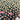 670dca8034be6e479edf2839_img-2361_1777823491287.jpeg