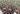 670dca8034be6e479edf2839_img-2361_1777823491287.jpeg