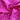 670dca8034be6e479edf2839_img-2435_1793238075565.jpeg