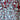 670dca8034be6e479edf2839_img-2440_1793229674193.jpeg