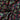 670dca8034be6e479edf2839_img-2449_1793214685060.jpeg