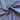 670dca8034be6e479edf2839_img-2452_1793192237492.jpeg