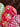 670dca8034be6e479edf2839_img-2498_1774136277900.jpeg