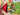 670dca8034be6e479edf2839_img-2560_1790891213070.jpeg