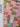 670dca8034be6e479edf2839_img-2695_1755716523562.jpeg