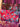 670dca8034be6e479edf2839_img-2930_1791897066199.jpeg