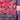 670dca8034be6e479edf2839_img-2932_1791633025734.jpeg