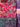 670dca8034be6e479edf2839_img-2932_1791633025734.jpeg