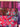 670dca8034be6e479edf2839_img-2933_1791633025734.jpeg