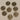 670dca8034be6e479edf2839_img-3022-medium_1773601861766.jpeg