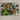 670dca8034be6e479edf2839_img-3043-medium_1773866869406.jpeg