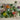 670dca8034be6e479edf2839_img-3044-medium_1773866869406.jpeg