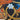 670dca8034be6e479edf2839_img-3100_1757349981159.jpeg