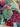 670dca8034be6e479edf2839_img-3109_1757351671773.jpeg