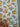 670dca8034be6e479edf2839_img-3120_1792074029040.jpeg