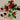 670dca8034be6e479edf2839_img-3121-large_1774815793387.jpeg