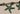 670dca8034be6e479edf2839_img-3141-medium_1774816995709.jpeg