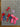 670dca8034be6e479edf2839_img-3145_1776610875519.jpeg