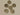 670dca8034be6e479edf2839_img-3146-2-medium_1774818086499.jpeg
