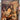 670dca8034be6e479edf2839_img-3214_1780345470804.jpeg
