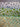 670dca8034be6e479edf2839_img-3231_1792365424027.jpeg