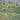 670dca8034be6e479edf2839_img-3233_1792365432158.jpeg