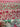 670dca8034be6e479edf2839_img-3246_1792416599450.jpeg