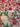 670dca8034be6e479edf2839_img-3248_1792416599450.jpeg