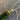 670dca8034be6e479edf2839_img-3299_1775422298453.jpeg