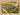 670dca8034be6e479edf2839_img-3304_1759509485319.jpeg