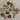 670dca8034be6e479edf2839_img-3309-medium_1775509488076.jpeg