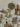 670dca8034be6e479edf2839_img-3310-medium_1775509488075.jpeg
