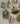 670dca8034be6e479edf2839_img-3311-medium_1775509488076.jpeg
