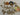 670dca8034be6e479edf2839_img-3318-medium_1775509220573.jpeg
