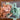 670dca8034be6e479edf2839_img-3328_1775422941502.jpeg
