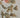 670dca8034be6e479edf2839_img-3333-medium_1775508447783.jpeg