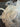 670dca8034be6e479edf2839_img-3336_1775423065518.jpeg