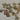 670dca8034be6e479edf2839_img-3347-medium_1775507824225.jpeg