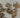 670dca8034be6e479edf2839_img-3349-medium_1775507824226.jpeg