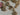 670dca8034be6e479edf2839_img-3350-medium_1775507824226.jpeg