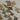 670dca8034be6e479edf2839_img-3355-medium_1775507601822.jpeg