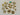 670dca8034be6e479edf2839_img-3390-medium_1775424330335.jpeg