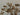 670dca8034be6e479edf2839_img-3416-medium-2_1775422640307.jpeg