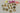 670dca8034be6e479edf2839_img-3426-medium_1775421873229.jpeg