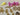 670dca8034be6e479edf2839_img-3428-medium_1775421873229.jpeg