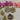 670dca8034be6e479edf2839_img-3429-medium_1775421873228.jpeg